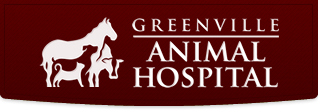 greenville animal hospital